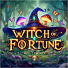 Witch Of Fortune Multiways